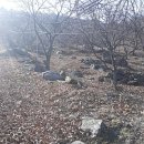 대경농장2 이미지