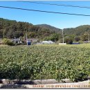 추동마을회관 이미지