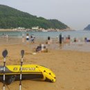 자연송림 이미지