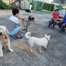 복순이네 이미지