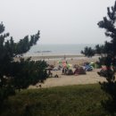 안면도민박 이미지