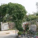 석란정펜션 이미지