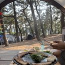 맹방비치캠핑장 이미지