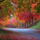 대지의 염원 이미지