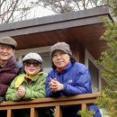 대운산자연휴양림 이미지