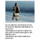 해파랑길 걷기와 산행 이미지