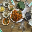 여수밴댕이 이미지