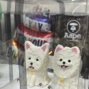 댕댕바게트 | [동래 댕댕바게트] 졸귀탱 강아지 케이크, 피자, 수제간식 추천 (내돈내산, 강아지생파후기)