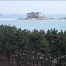 진하해수욕장 이미지