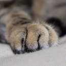 오늘도, 그루밍 이미지