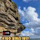 안덕면 용머리 공영주차장 입구 이미지