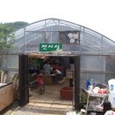 동해곤충농장 이미지