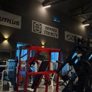 헬스달리아 부산 기장점 | 기장PT 후기 근력 증진 목표 30회만에 체형변화, 기장헬스 달리아 안제영 트레이너