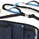 베스애견 이미지