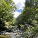 희여울과 꽃나예 이미지