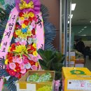 농부장터야채.과일 | 다파농 과천 지정타 야채 과일가게 다파는 농부 오픈일 방문 후기 공동구매