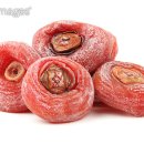 윤슬동물병원 이미지