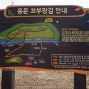 주영농장(4) 이미지