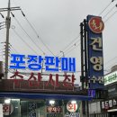 백두회수산 2호점 | 광주 건영수산 2호점 산오징어회 내돈내산 후기｜여름 제철 산오징어는 역시 여기!