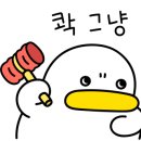 ⓔ.포토