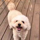 개스트하우스 청주점 이미지