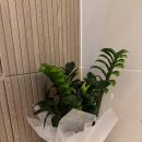 이마트24울산대현점 | [울산 대현] 울산스터디카페 ‘스터디봄 울산대현점’