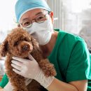 온양동물병원 이미지