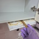 트리플시티 | 대전트리플시티포레아파트이사청소후기