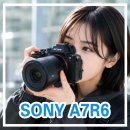 제4산단로R | 소니 신제품 카메라 A7R6 후기 A7M4 비교 리뷰