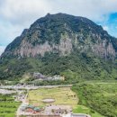 사계자리 이미지