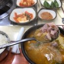솔밭집 이미지