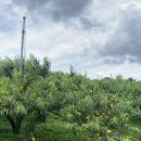 향로농장 이미지