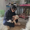 천사의집 | [공지] 대전 유기견보호소 봉사 후기 천사의 집 대전봉사활동