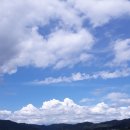 둥이농장 이미지