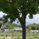 죽녹원게임랜드 이미지