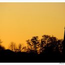 아름다운 동행 이미지