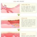 올바른온누리약국 이미지