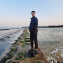 구산솔밭 이미지