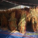 북암농장 이미지