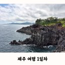서귀동-36 | 모녀가 떠난 제주 여행 1일차 | 볼스카페, 주상절리대, 서귀포올레시장 제일떡집 제성제과 네거리올레...