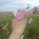 오늘하루 이미지