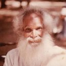 푸리바바 이미지