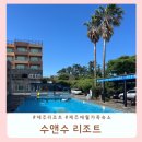 수앤수제주 | 제주 가족여행 숙소 고민 끝! 미온수 수영장까지 만족했던 수앤수리조트 후기