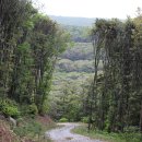 초록풍경 이미지