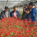 한아름팜(주) 이미지