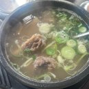 곽만근갈비탕대전갈마점 | 갈마 태평소국밥 갈비탕 후기