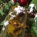 수원-0477 이미지