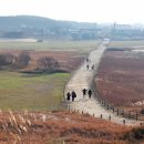 충청도 여행 태안 가볼만한곳 신두리해안사구 태안 신두리 해수욕장 이미지