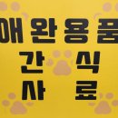 캣독애견편의점