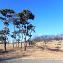 완주군립삼례도서관 이미지